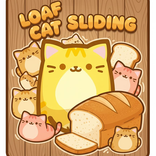 Loaf Cat Sliding