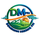 Domingos Martins FM APK