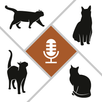 Human to Cat Translator APK