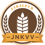 Balram App