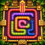 Loop Coil Puzzle