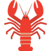 龙虾加速器 APK