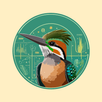 Cantos de Pássaros Brasileiros APK