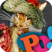 PopOut! The Tale of Benjamin B APK