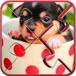 Cute Dogs Jigsaw Puzzle