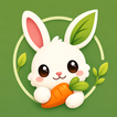 BloomLoop иконка