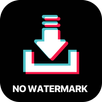 Video Downloader for TikTok -  APK