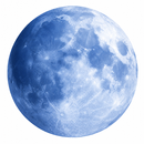 Pale Moon Browser APK