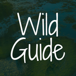 WildGuide: Pantanal Wildlife