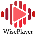 wise player