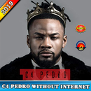 C4 Pedro - the best songs 2019 - without internet APK