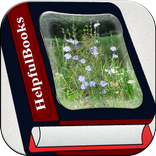 Perennial Plant