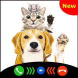 Pets Fake video call