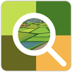 Odisha Paddy Land Survey APK