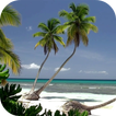 آیکون‌ Ocean Beach Live Wallpaper