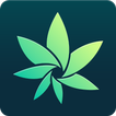 Icona HiGrade: Cannabis Testing