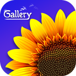 Gallery- Gerenciador de Fotos