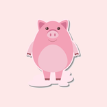 Pig VPN