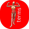 BIG Anatomy Dictionary APK