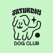 DogTest آئیکن
