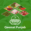 Qeemat Punjab APK