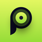 Placeter icon