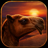 لعبة مزاين APK