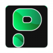 Point Pay আইকন