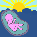 Pregnancy Assistant. Pregnancy Calendar.