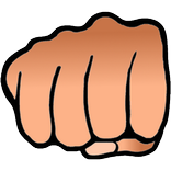 Fight Fury