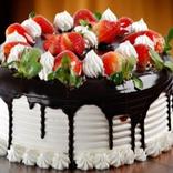 Delicious Cake Recipes