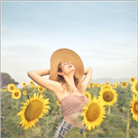 Gallery - Photo Album, Gallery