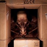 Warehouse - The Horror Game