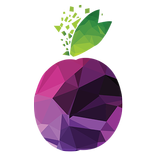 Prune Travel eSims