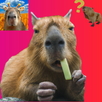 Capybara Stickers APK
