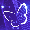 Blisslights APK