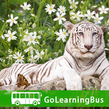 Learn Botany and Zoology