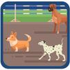 Merge Dog Plus APK
