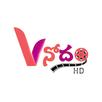 Vinodam HD channel APK
