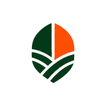 Rvd Group icon