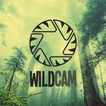 آیکون‌ WildCam
