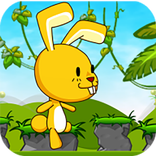 Rabbit Run Adventure