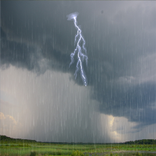 Rain Live Wallpaper