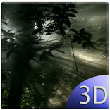 Rain Forest Live Wallpaper