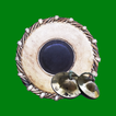 Jalra - Mridangam & Harmonium icon