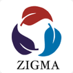 Zigma Work Pro ícone