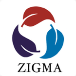 Zigma Work Pro