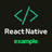 Learn React Native Programming APK