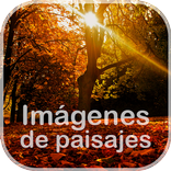 photo of landscapes
