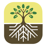 生根建造 Rooted In Christ